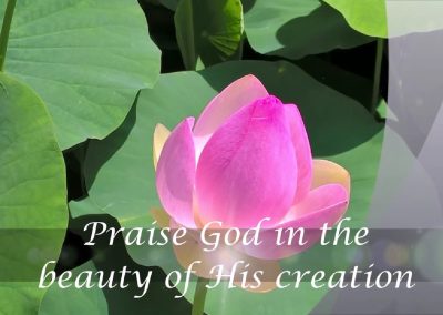The prayer of Pope Francis