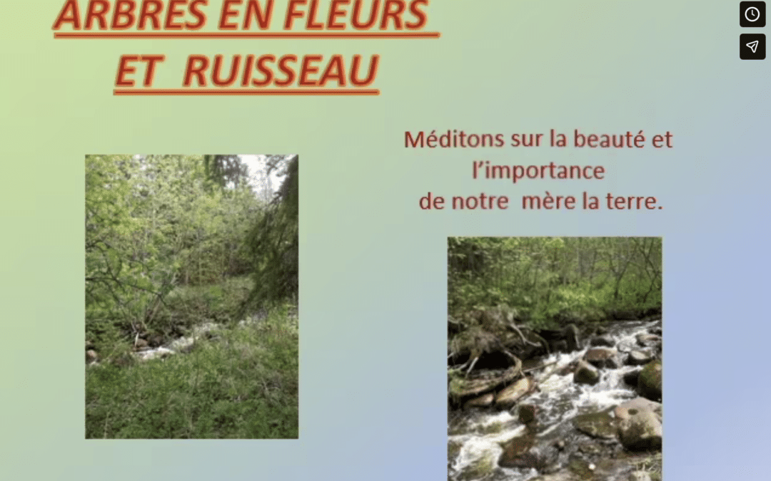 Notre mère la terre