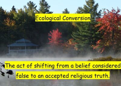 Ecological Conversion